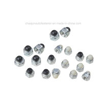 Aço de carbono Aço inoxidável Nylon Cap Nut (CZ005)